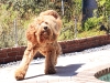 Frisbee 14