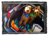 Boys in the Car 2