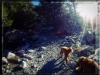 Sam and Luke on Hike with Sunflare