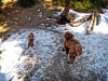 playing in snow