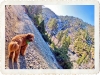 overlooking canyon