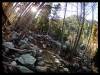 scenic trail