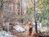 sam-in-scenery