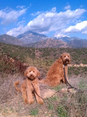 beautiful-day-for-a-hike
