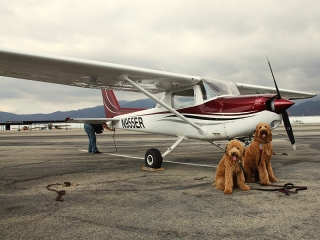 sam-and-luke-with-a-plane