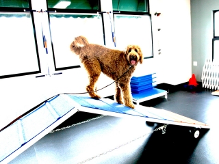 sam-on-an-incline