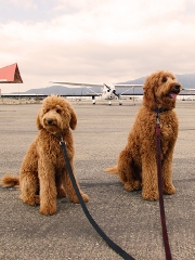 luke-and-sam-w-plane