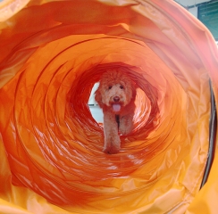 luke-in-a-tunnel