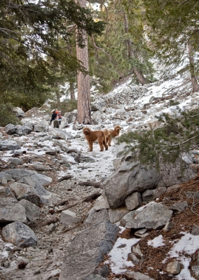 sam-and-luke-on-the-mountain