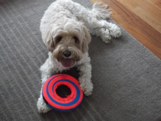 charlie
