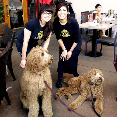 sam-luke-w-lazy-dog-girls