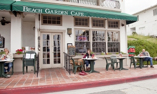 beach-garden-cafe