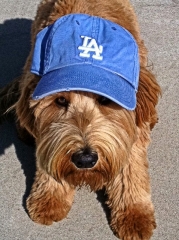 lilikoi-in-hat-edited