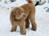 luke-in-snow