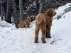 sam-and-luke-going-up-the-trail