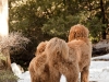 sam-and-luke-on-hike