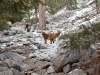 sam-and-luke-on-the-mountain