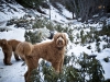 sam-snow