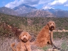 beautiful-day-for-a-hike