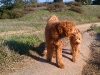 sam-luke-together-on-trail