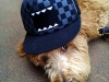 luke-w-hat
