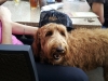 sam-at-the-table