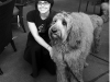 sam-w-lazy-dog-gal-bw