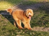luke-8-mos