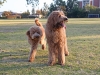 sam-and-luke-2