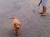 luke-17-weeks-5