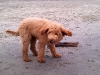 luke-17-weeks