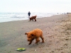 sam-and-luke-at-beach