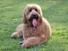 sam-nov-6-2011