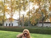 sam-with-light-behind-nov-6-2011-192