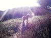 luke-in-nov-light_0