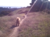 sam-luke-on-trail-nov-light