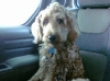 5-months-traveling-with-penny