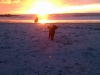 sam-at-sunset