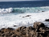 coast-1