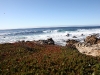 coast-2