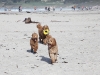 tres-doods-running-in