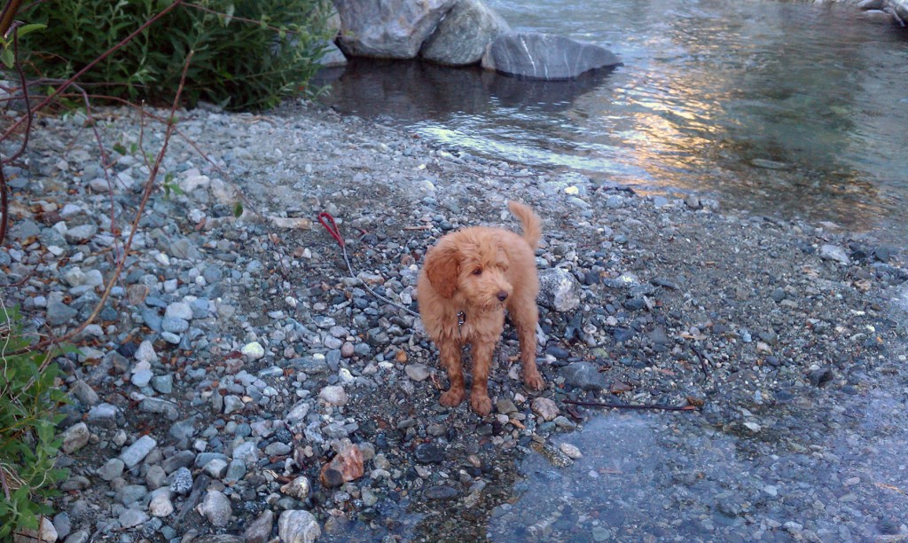 luke at the stream