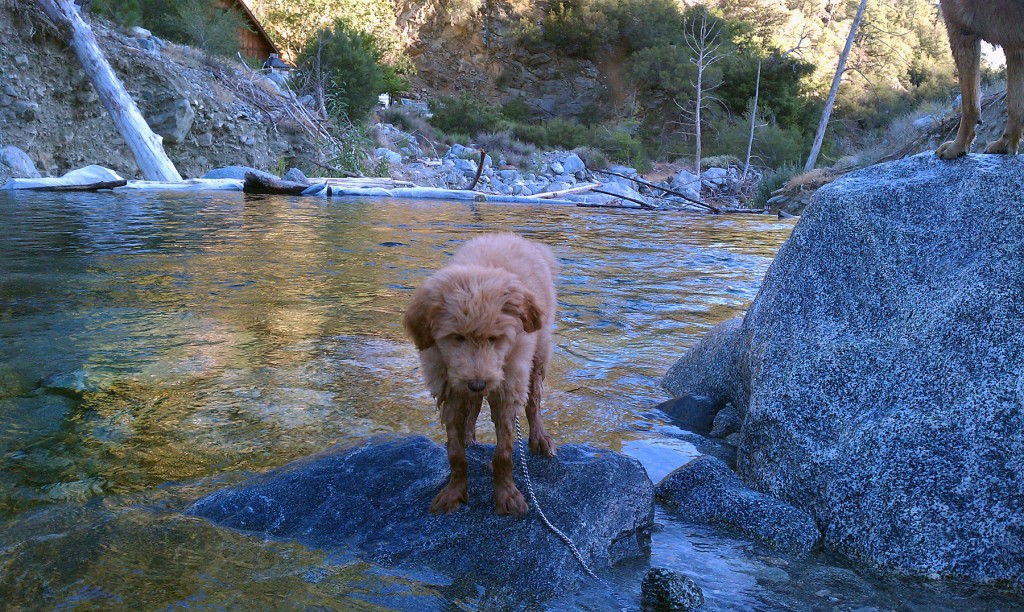 luke on a rock